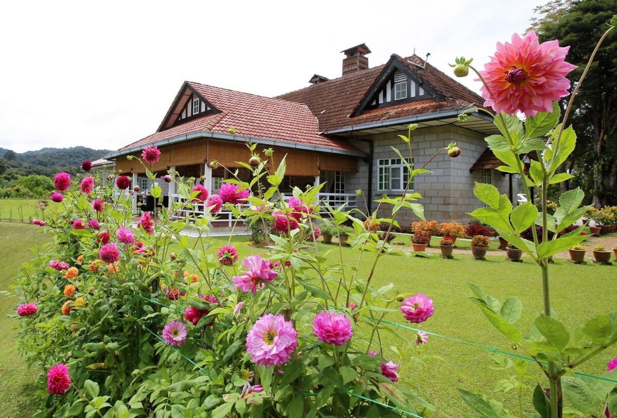 Bukit Lowick Bungalow Tanah Rata Exteriér fotografie