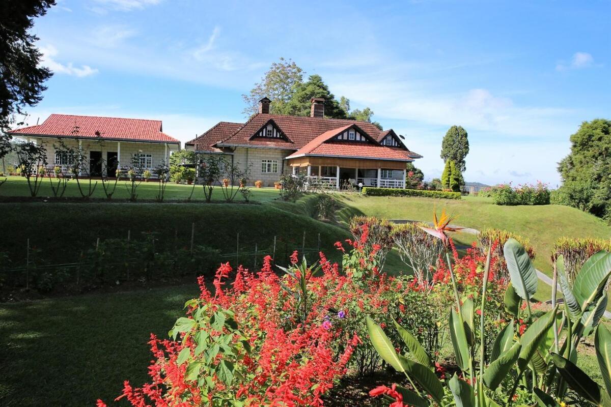 Bukit Lowick Bungalow Tanah Rata Exteriér fotografie